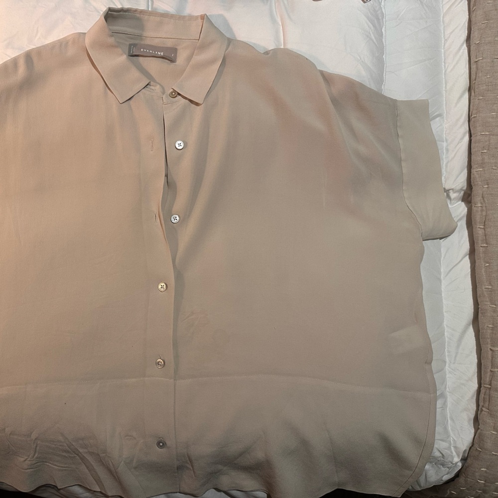 Everlane Clean Silk Shirt (2)